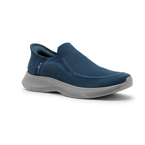 Zapatenis Clinicus Caballero 1541